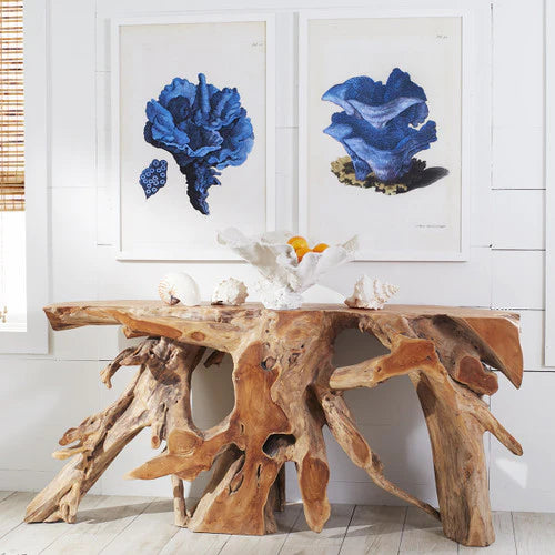 TEAK ROOT COLLECTION