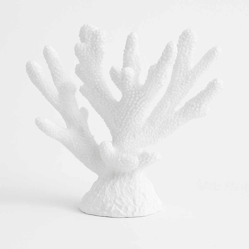 Staghorn Coral