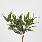 Eucalyptus Leaf Bunch (53cm)