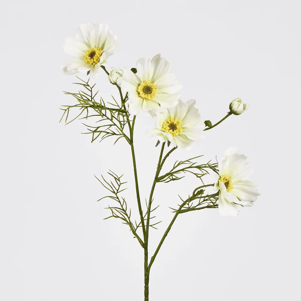 White Cosmos Spray (64cm)