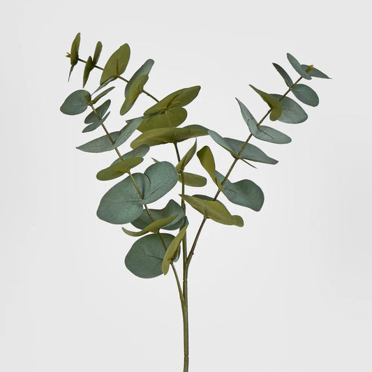 Green Eucalyptus Stem (63cm)