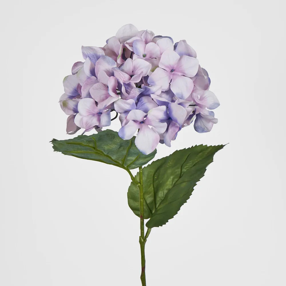 Lilac Domed Hydrangea (69cm)