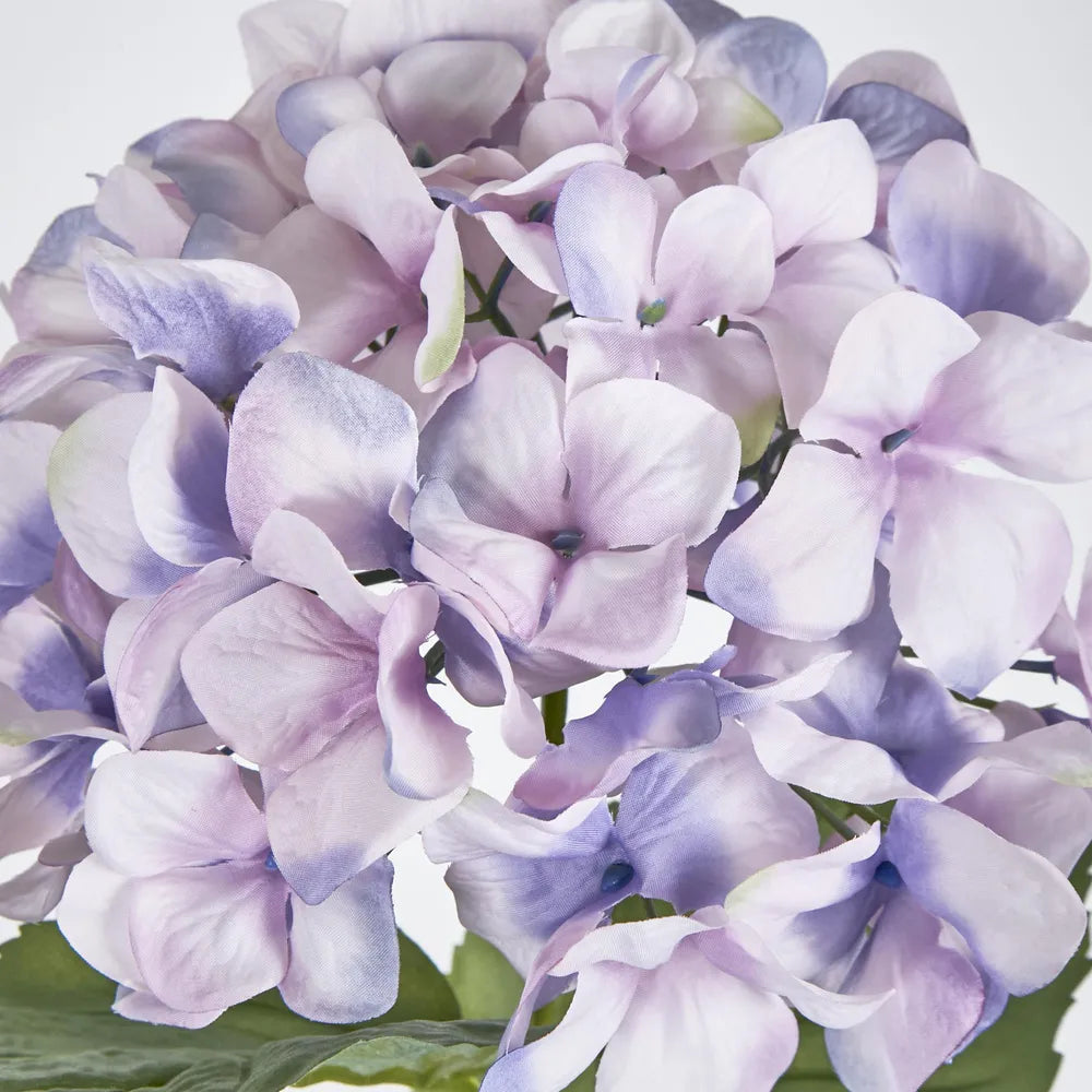 Lilac Domed Hydrangea (69cm)