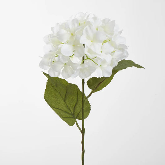 White Domed Hydrangea (69cm)