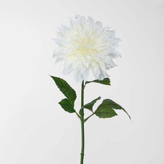 White Dahlia Stem (70cm)