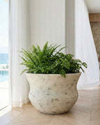 Alira Antique Brown Pot