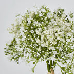 White Baby's Breath Bunch (28cm)