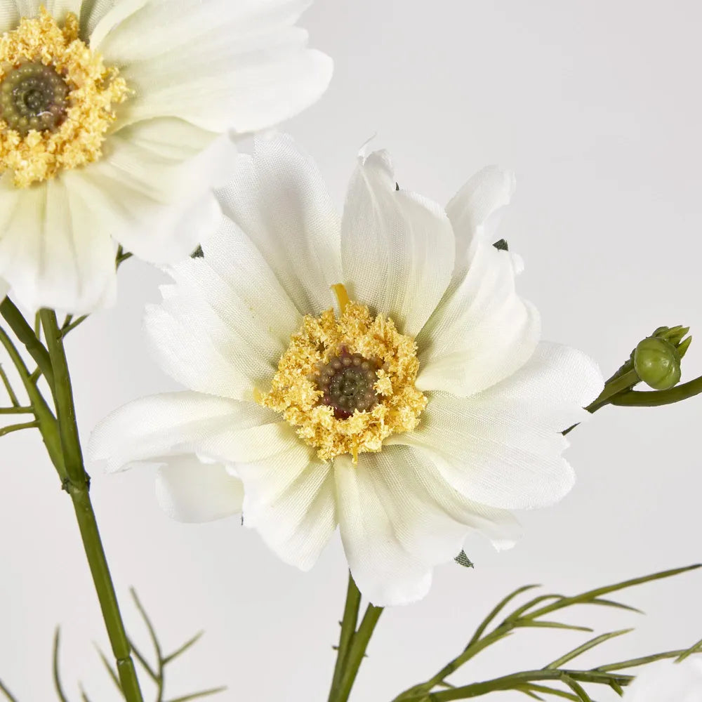 White Cosmos Spray (64cm)