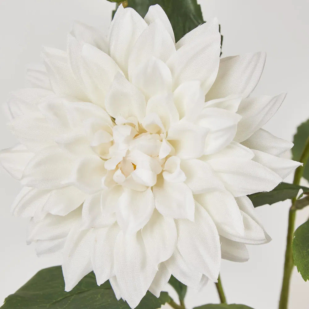 White Dahlia Spray (70cm)