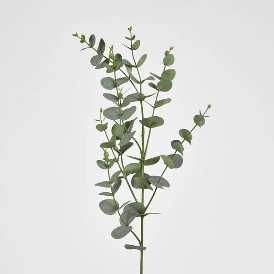 Eucalyptus Stem (97cm)