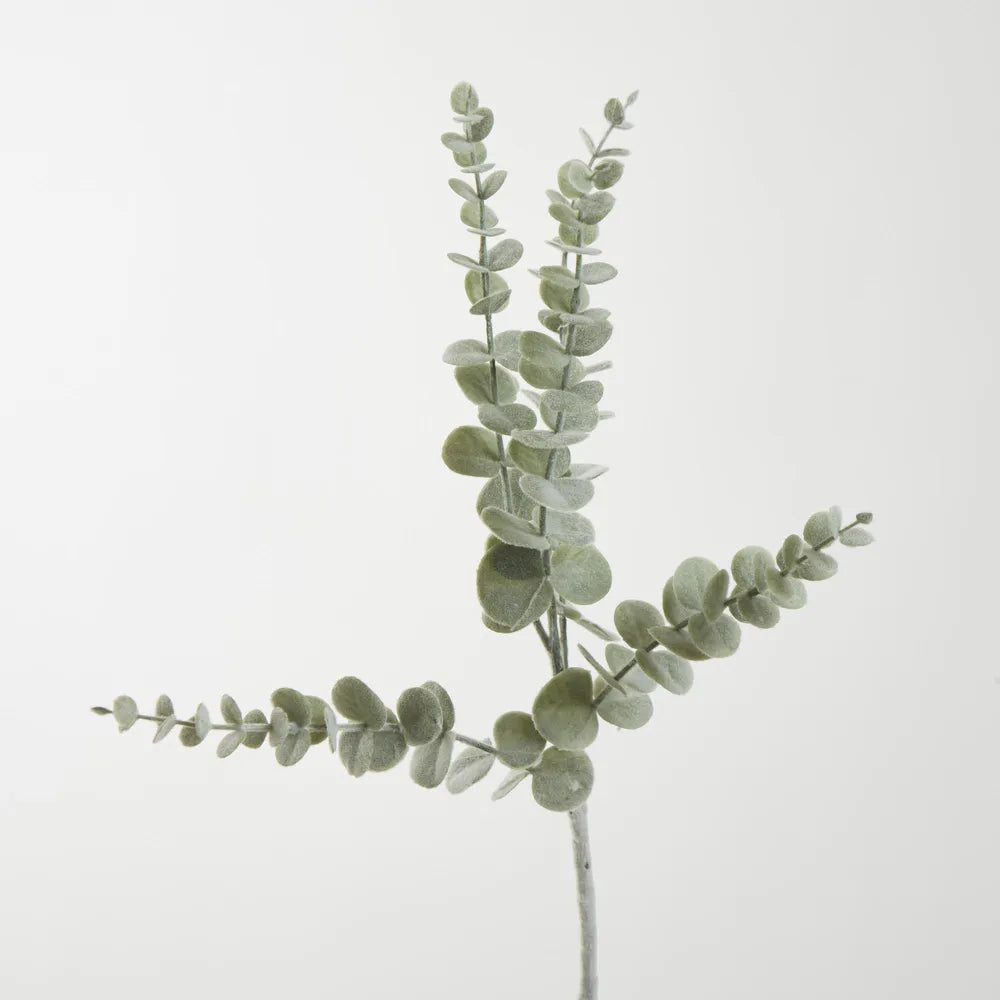 Flocked Eucalyptus Spray (73cm)