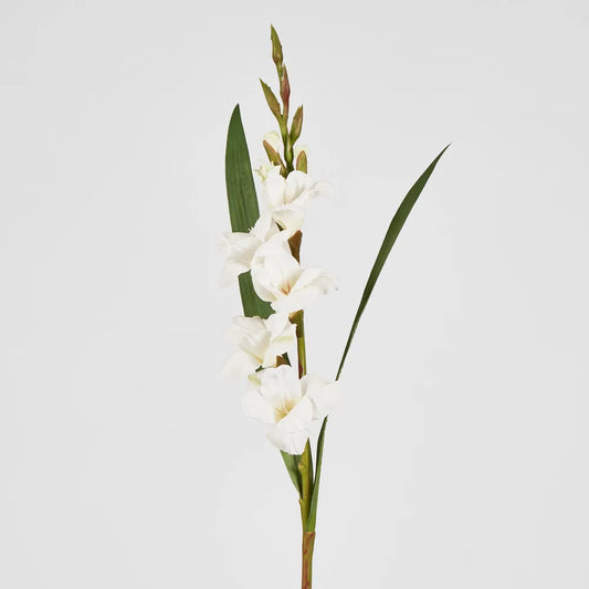 White Gladious Stem (84cm)