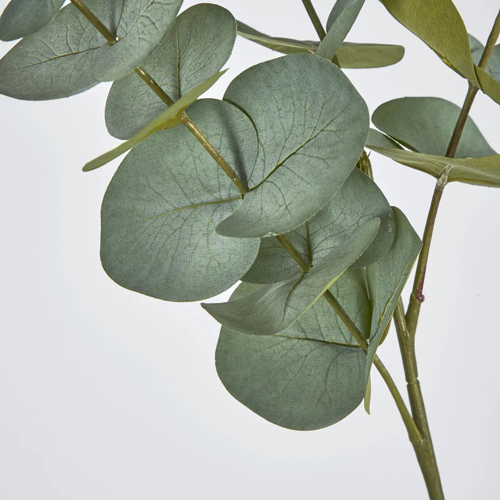 Green Eucalyptus Stem (63cm)