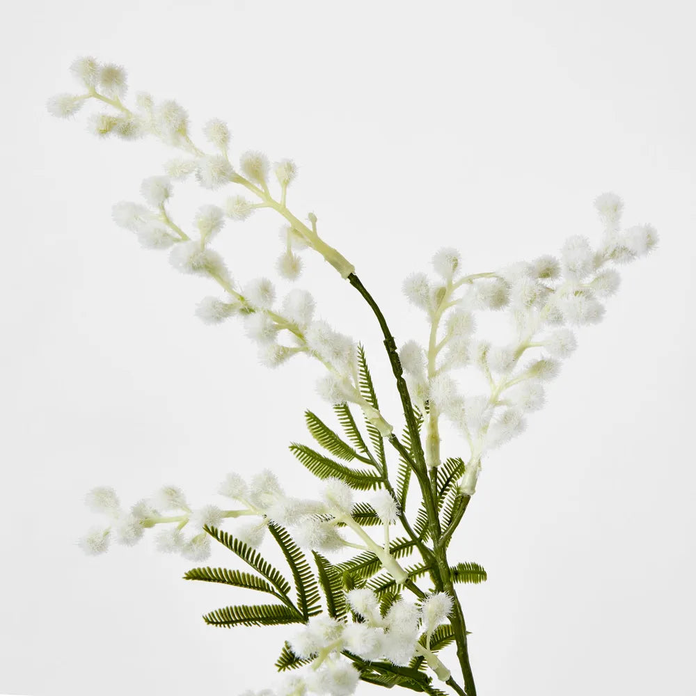 White Mimosa Stem (85cm)