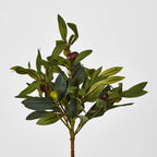 Olive Stem Bunch (28cm)