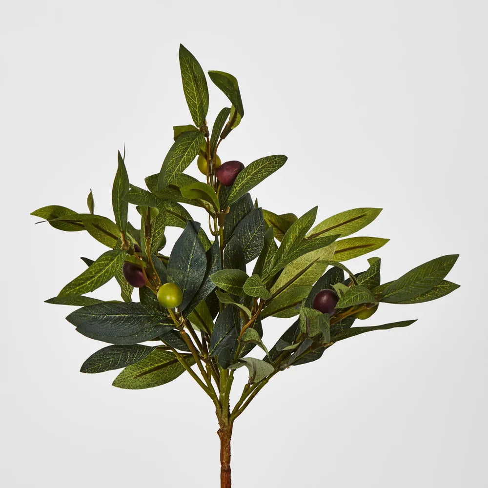 Olive Stem Bunch (28cm)