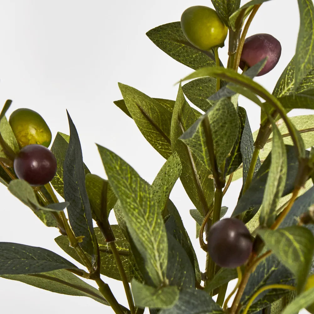 Olive Stem Bunch (28cm)