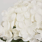 White Hydrangea Stem (62cm)