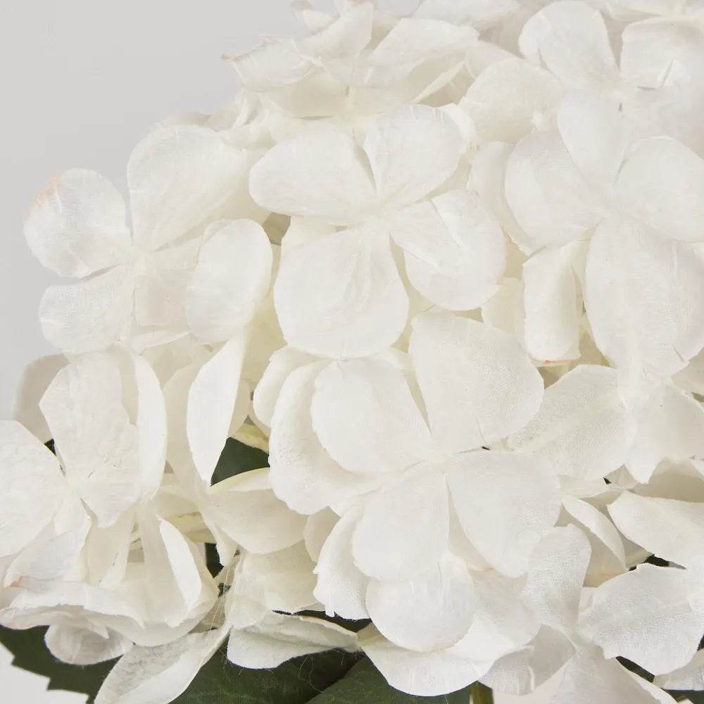 White Hydrangea Stem (62cm)