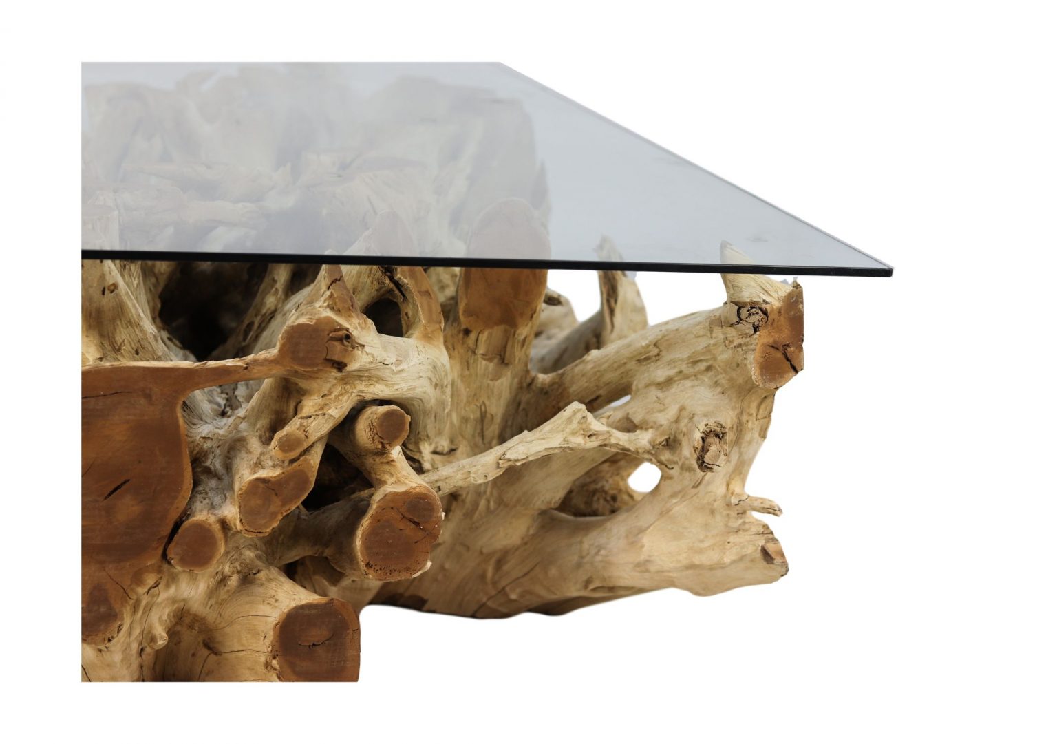 Teak Root Square Coffee Table