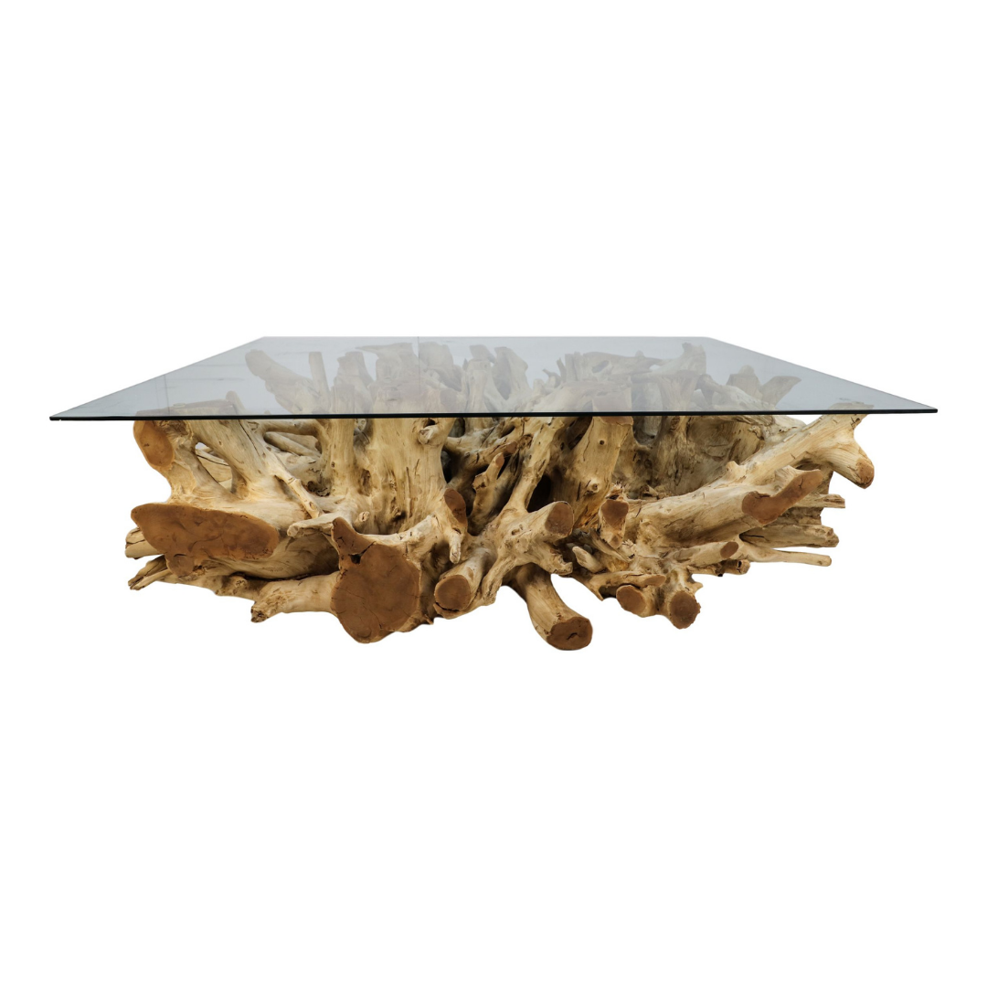 Teak Root Square Coffee Table