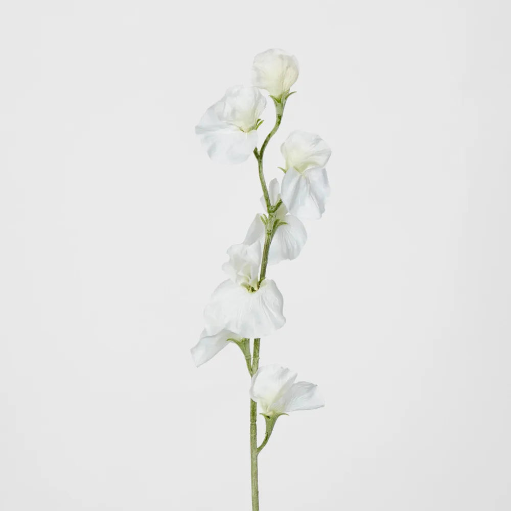 White Sweet Pea Stem (43cm)