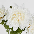 White Chrysanthemum Stem (70cm)