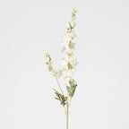White Delphinium Stem (70cm)