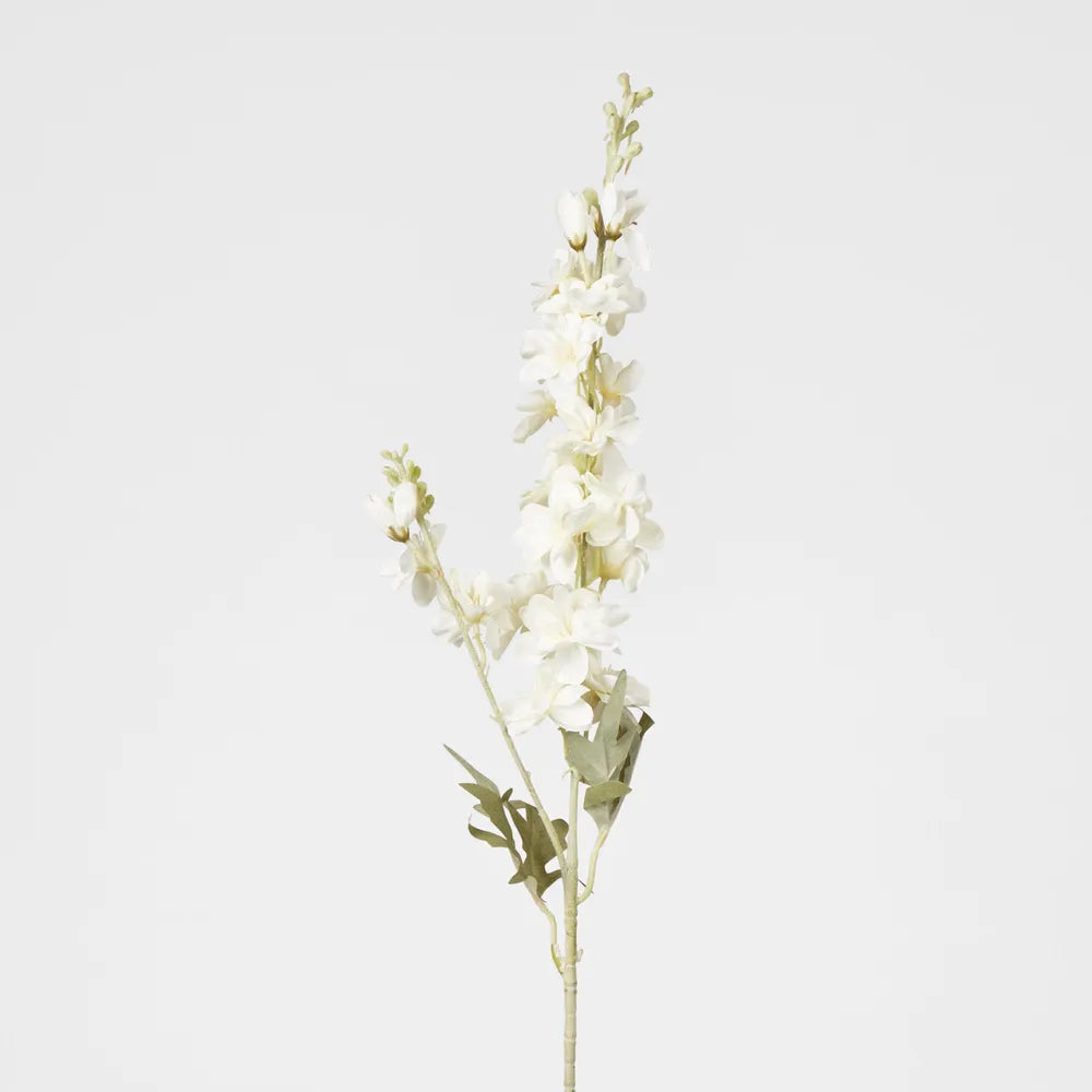 White Delphinium Stem (70cm)