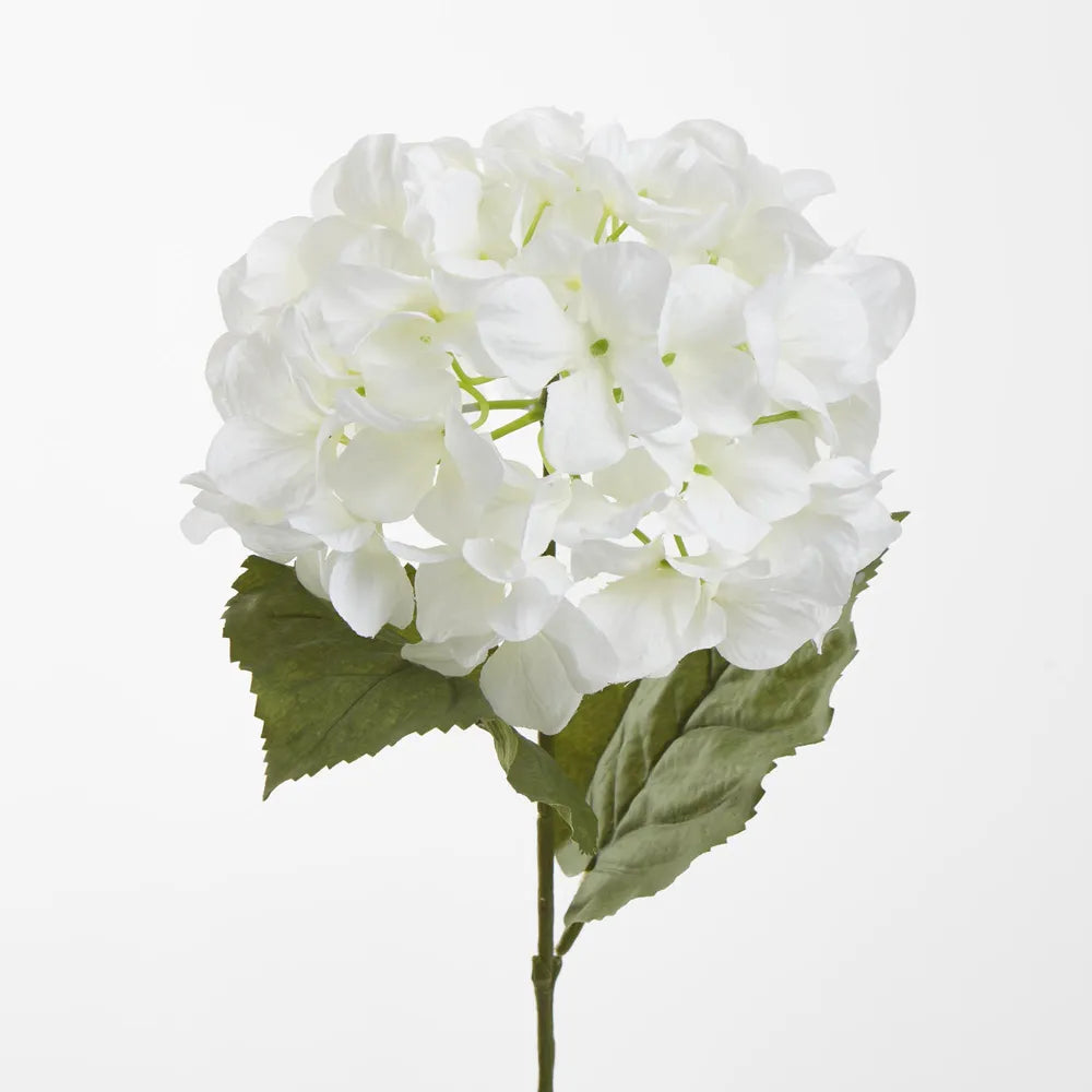 White Domed Hydrangea (69cm)