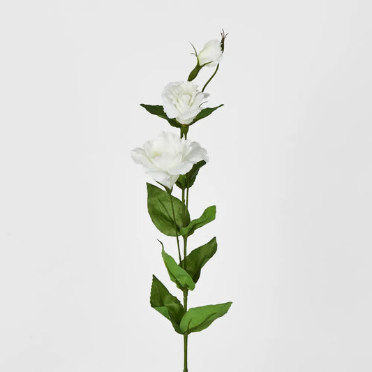 White Lisanthus Stem (72cm)