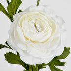 White Ranunculus Stem (72cm)