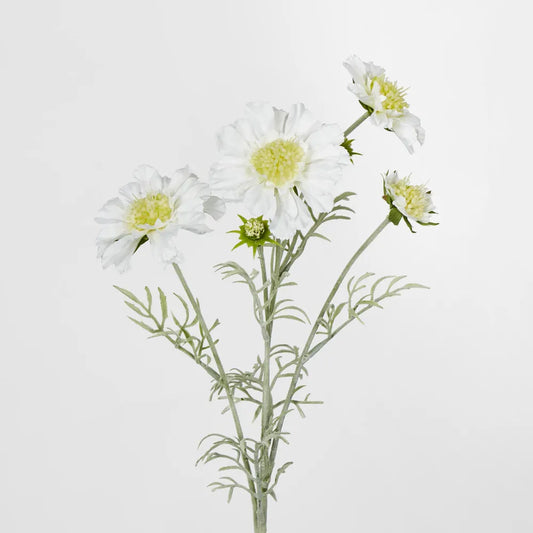 White Scabiosa Spray (62cm)