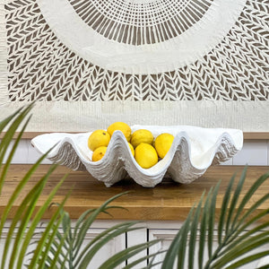 Display Faux Clam Shell